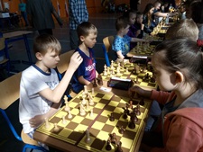 Aktywność szachistów z Terespola